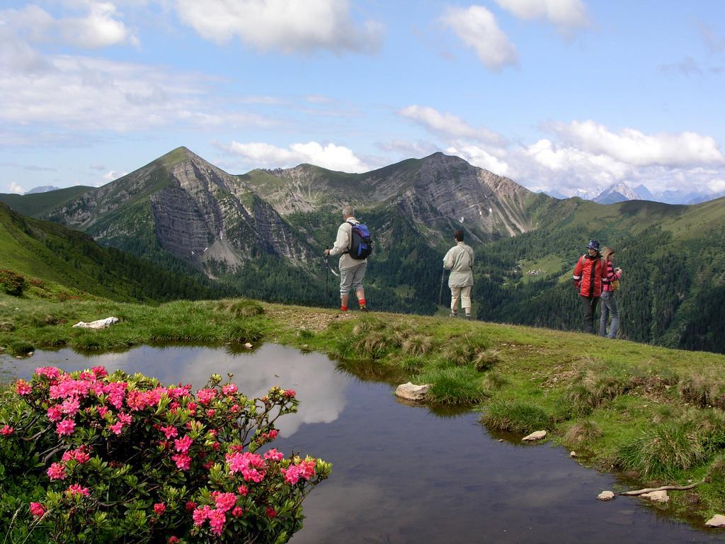 Ferienhaeuser Familie Hofer Stockenboi Weissensee Dış mekan fotoğraf